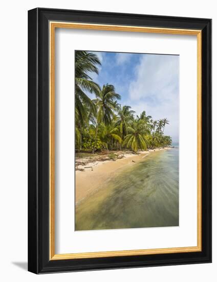 Beautiful palm fringed beach, Achutupu, San Blas Islands, Kuna Yala, Panama, Central America-Michael Runkel-Framed Photographic Print