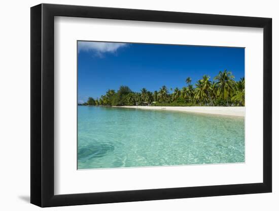 Beautiful palm fringed white sand beach in the turquoise waters of Tikehau, Tuamotus, French Polyne-Michael Runkel-Framed Photographic Print