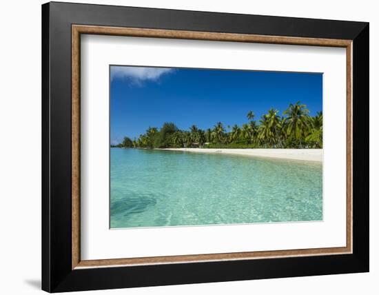 Beautiful palm fringed white sand beach in the turquoise waters of Tikehau, Tuamotus, French Polyne-Michael Runkel-Framed Photographic Print