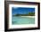 Beautiful palm fringed white sand beach in the turquoise waters of Tikehau, Tuamotus, French Polyne-Michael Runkel-Framed Photographic Print