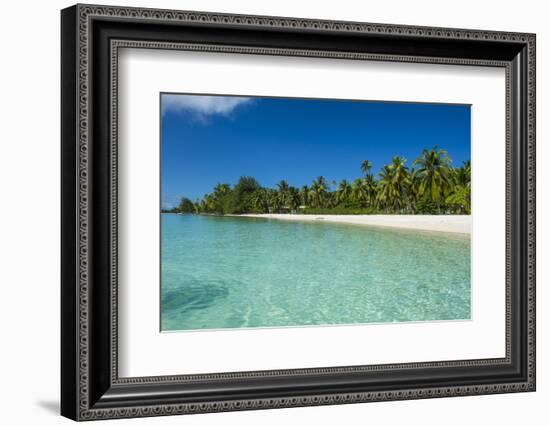 Beautiful palm fringed white sand beach in the turquoise waters of Tikehau, Tuamotus, French Polyne-Michael Runkel-Framed Photographic Print