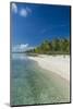 Beautiful palm fringed white sand beach in the turquoise waters of Tikehau, Tuamotus, French Polyne-Michael Runkel-Mounted Photographic Print