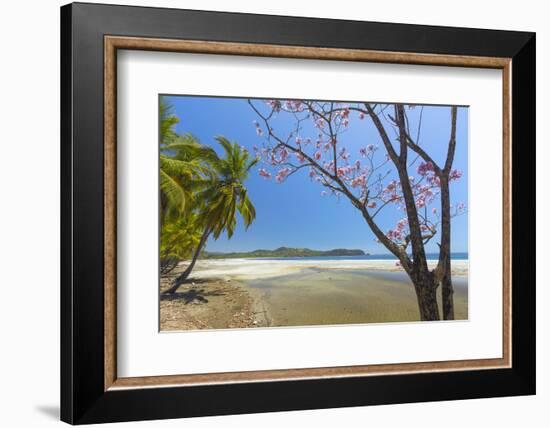 Beautiful Palm Fringed White Sand Playa Carrillo-Rob Francis-Framed Photographic Print