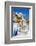 Beautiful Pictorial Santorini-Maugli-l-Framed Photographic Print