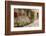 Beautiful Picturesque Nook of Rural Tuscany-Petr Jilek-Framed Photographic Print