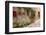 Beautiful Picturesque Nook of Rural Tuscany-Petr Jilek-Framed Photographic Print