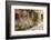 Beautiful Picturesque Nook of Rural Tuscany-Petr Jilek-Framed Photographic Print