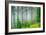 Beautiful Pine Tree Forest, Abstract Natural Background, Misty Woods in the Morning, Amazing Nature-Anna Omelchenko-Framed Photographic Print