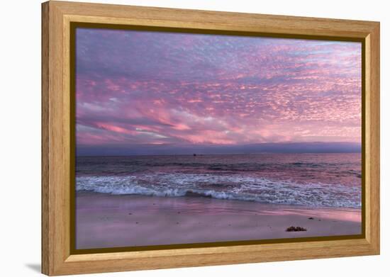 Beautiful Pink Coastal Sunset over the Indian Ocean W Australia-Imagevixen-Framed Premier Image Canvas
