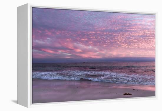 Beautiful Pink Coastal Sunset over the Indian Ocean W Australia-Imagevixen-Framed Premier Image Canvas