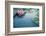 Beautiful Pink Lotus, Water Plant with Reflection in a Pond-Vasin Lee-Framed Photographic Print