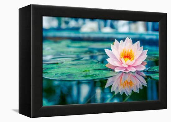 Beautiful Pink Lotus, Water Plant with Reflection in a Pond-Vasin Lee-Framed Premier Image Canvas