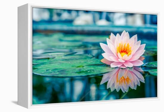 Beautiful Pink Lotus, Water Plant with Reflection in a Pond-Vasin Lee-Framed Premier Image Canvas