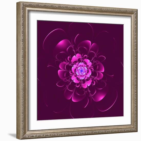 Beautiful Purple Flower on Purple Background-velirina-Framed Art Print