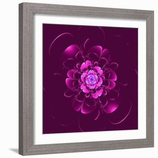 Beautiful Purple Flower on Purple Background-velirina-Framed Art Print