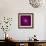 Beautiful Purple Flower on Purple Background-velirina-Framed Art Print displayed on a wall