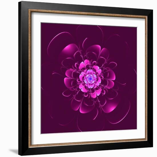 Beautiful Purple Flower on Purple Background-velirina-Framed Art Print