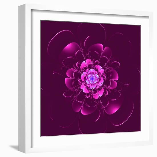 Beautiful Purple Flower on Purple Background-velirina-Framed Art Print