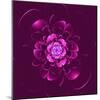 Beautiful Purple Flower on Purple Background-velirina-Mounted Art Print