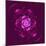 Beautiful Purple Flower on Purple Background-velirina-Mounted Art Print