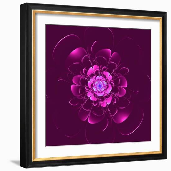 Beautiful Purple Flower on Purple Background-velirina-Framed Art Print