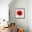 Beautiful Red Poppy, Closeup on a White Background, with Elements of the Sketch and Spray Paint, As-Pacrovka-Framed Art Print displayed on a wall