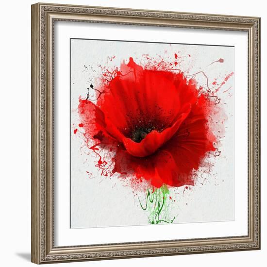 Beautiful Red Poppy, Closeup on a White Background, with Elements of the Sketch and Spray Paint, As-Pacrovka-Framed Art Print