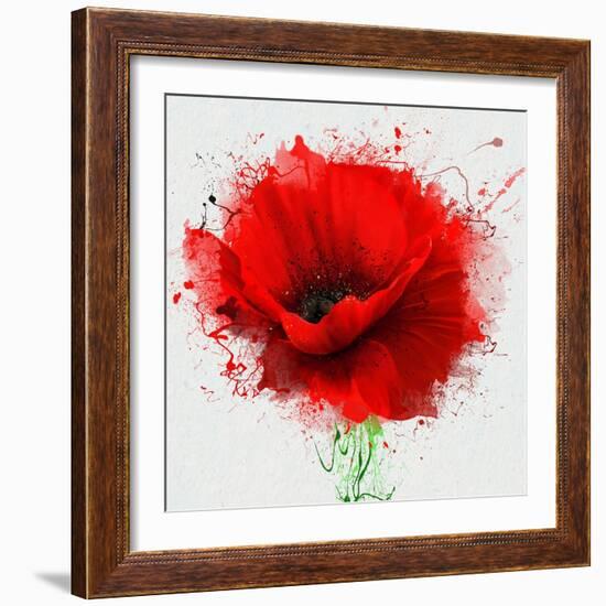 Beautiful Red Poppy, Closeup on a White Background, with Elements of the Sketch and Spray Paint, As-Pacrovka-Framed Art Print