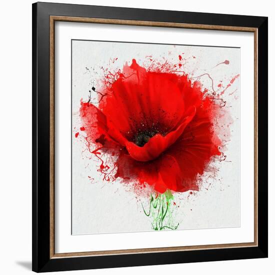 Beautiful Red Poppy, Closeup on a White Background, with Elements of the Sketch and Spray Paint, As-Pacrovka-Framed Art Print