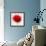 Beautiful Red Poppy, Closeup on a White Background, with Elements of the Sketch and Spray Paint, As-Pacrovka-Framed Art Print displayed on a wall