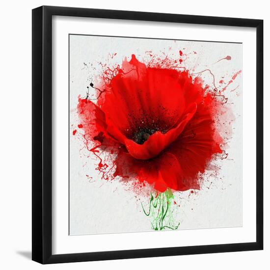 Beautiful Red Poppy, Closeup on a White Background, with Elements of the Sketch and Spray Paint, As-Pacrovka-Framed Art Print