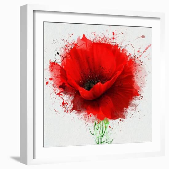 Beautiful Red Poppy, Closeup on a White Background, with Elements of the Sketch and Spray Paint, As-Pacrovka-Framed Art Print