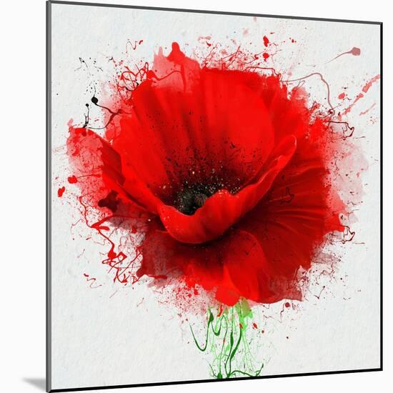 Beautiful Red Poppy, Closeup on a White Background, with Elements of the Sketch and Spray Paint, As-Pacrovka-Mounted Art Print