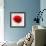 Beautiful Red Poppy, Closeup on a White Background, with Elements of the Sketch and Spray Paint, As-Pacrovka-Framed Art Print displayed on a wall