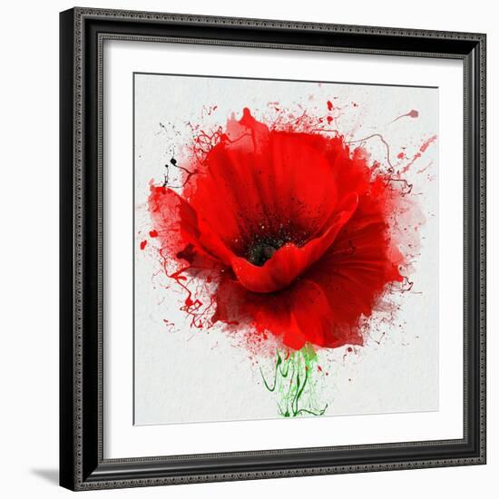 Beautiful Red Poppy, Closeup on a White Background, with Elements of the Sketch and Spray Paint, As-Pacrovka-Framed Art Print