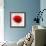 Beautiful Red Poppy, Closeup on a White Background, with Elements of the Sketch and Spray Paint, As-Pacrovka-Framed Art Print displayed on a wall
