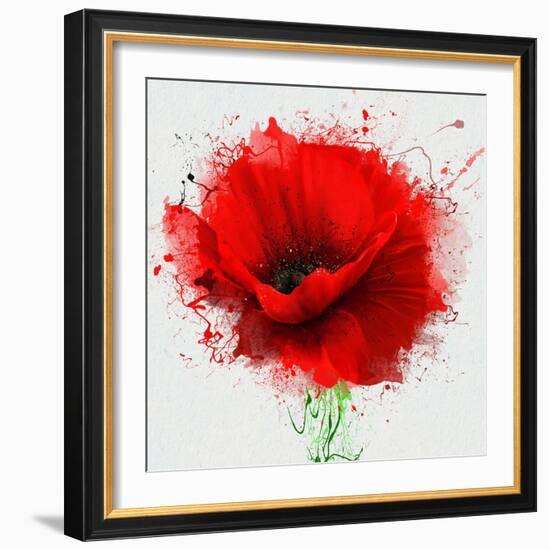 Beautiful Red Poppy, Closeup on a White Background, with Elements of the Sketch and Spray Paint, As-Pacrovka-Framed Art Print