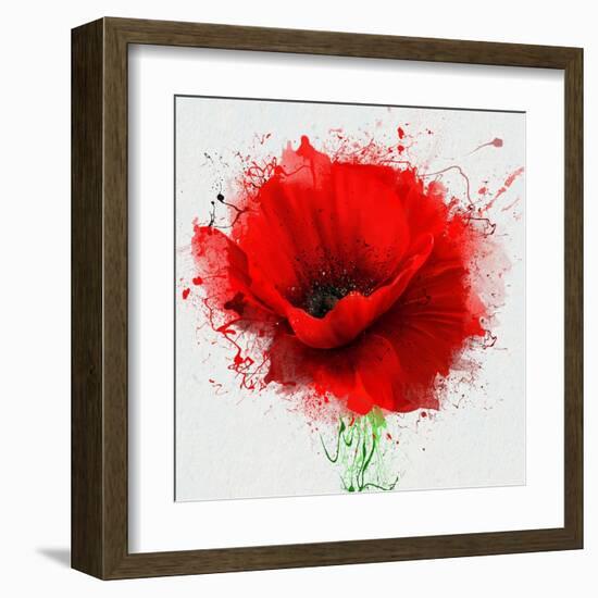 Beautiful Red Poppy, Closeup on a White Background, with Elements of the Sketch and Spray Paint, As-Pacrovka-Framed Art Print