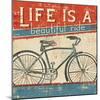 Beautiful Ride I-Pela Design-Mounted Art Print