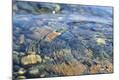 Premium Photographic Print