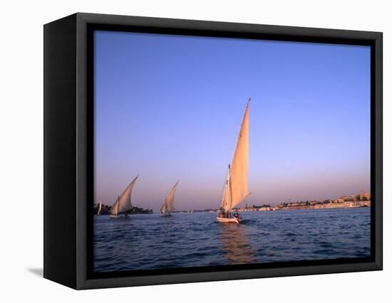 Beautiful Sailboats Riding Along the Nile River, Cairo, Egypt-Bill Bachmann-Framed Premier Image Canvas