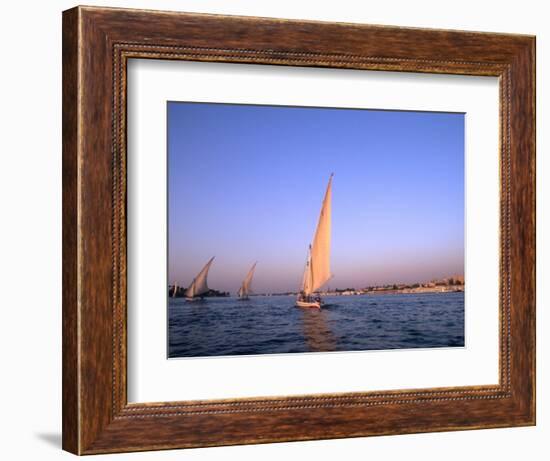 Beautiful Sailboats Riding Along the Nile River, Cairo, Egypt-Bill Bachmann-Framed Photographic Print