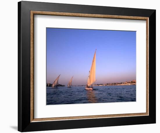 Beautiful Sailboats Riding Along the Nile River, Cairo, Egypt-Bill Bachmann-Framed Photographic Print