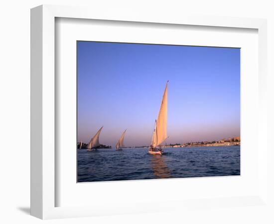 Beautiful Sailboats Riding Along the Nile River, Cairo, Egypt-Bill Bachmann-Framed Photographic Print