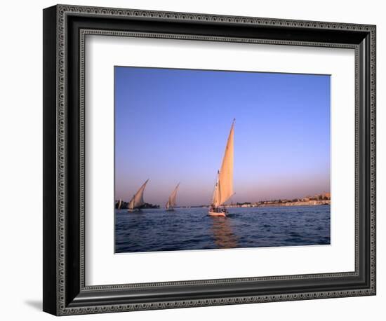 Beautiful Sailboats Riding Along the Nile River, Cairo, Egypt-Bill Bachmann-Framed Photographic Print