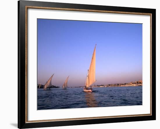 Beautiful Sailboats Riding Along the Nile River, Cairo, Egypt-Bill Bachmann-Framed Photographic Print