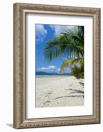 Beautiful Sand Beach, Cape Tribulation, Queensland, Australia, Pacific-Michael Runkel-Framed Photographic Print