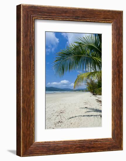 Beautiful Sand Beach, Cape Tribulation, Queensland, Australia, Pacific-Michael Runkel-Framed Photographic Print