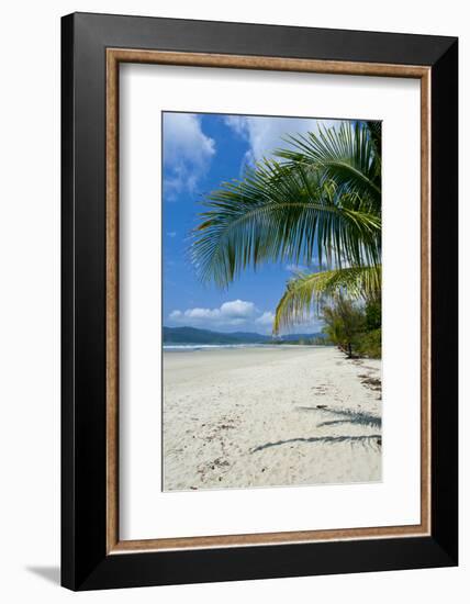 Beautiful Sand Beach, Cape Tribulation, Queensland, Australia, Pacific-Michael Runkel-Framed Photographic Print