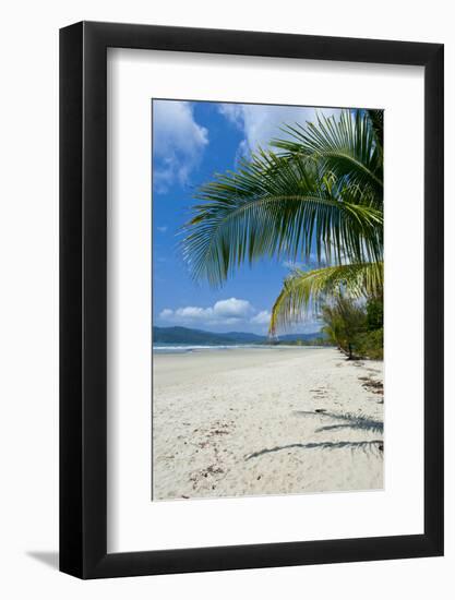 Beautiful Sand Beach, Cape Tribulation, Queensland, Australia, Pacific-Michael Runkel-Framed Photographic Print